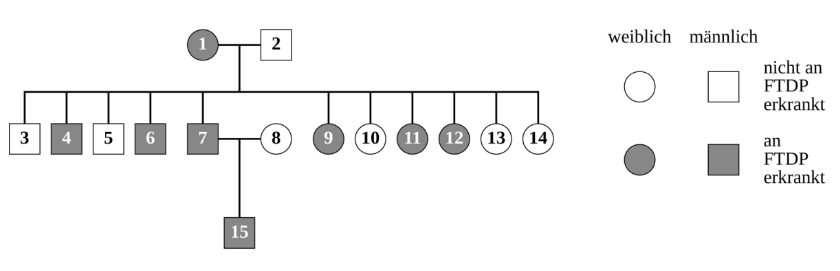 Stammbaum einer Familie mit Markierungen für an FTDP erkrankte und nicht erkrankte Personen.